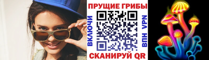 Псилоцибиновые грибы мицелий даркнет сайт Сергач